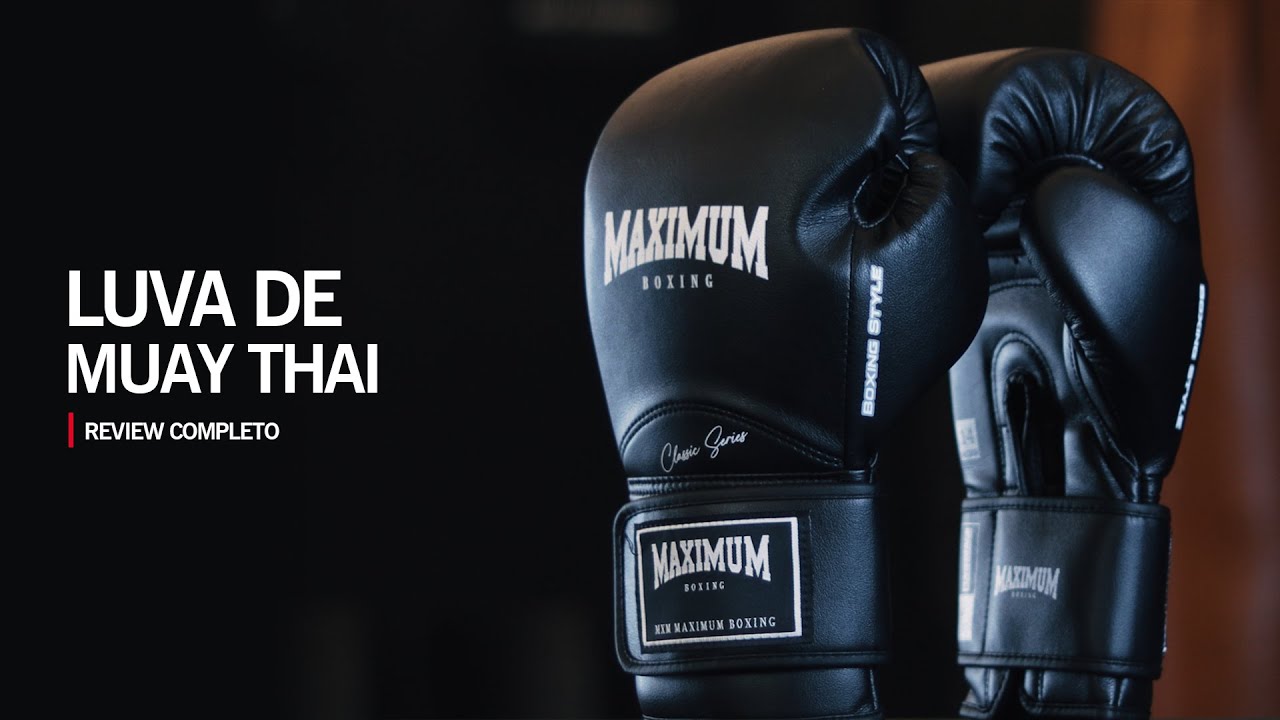 REVIEW COMPLETO LUVA DE BOXE E MUAY THAI INDICADA PARA INICIANTES