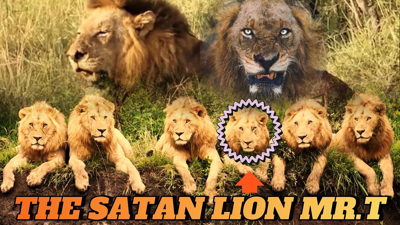 The Most Evil Lion to Ever Live: The Legend of 