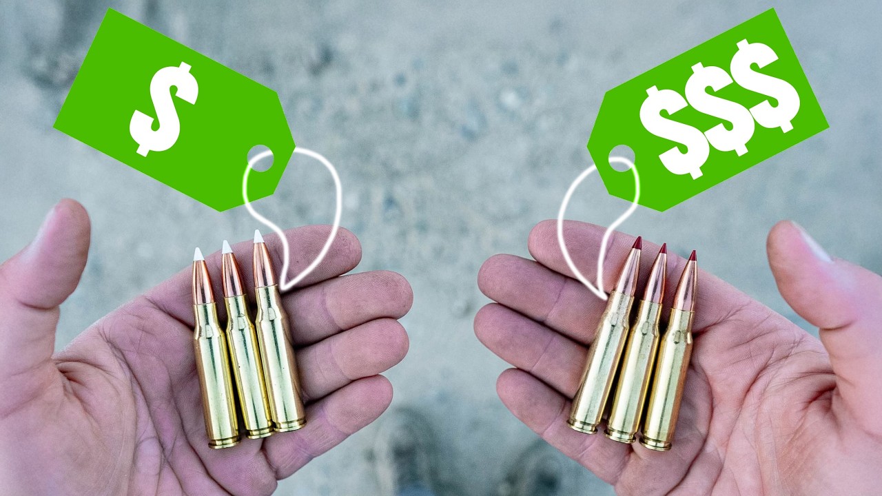 Cheap vs Expensive Ammo (Crazy Results)