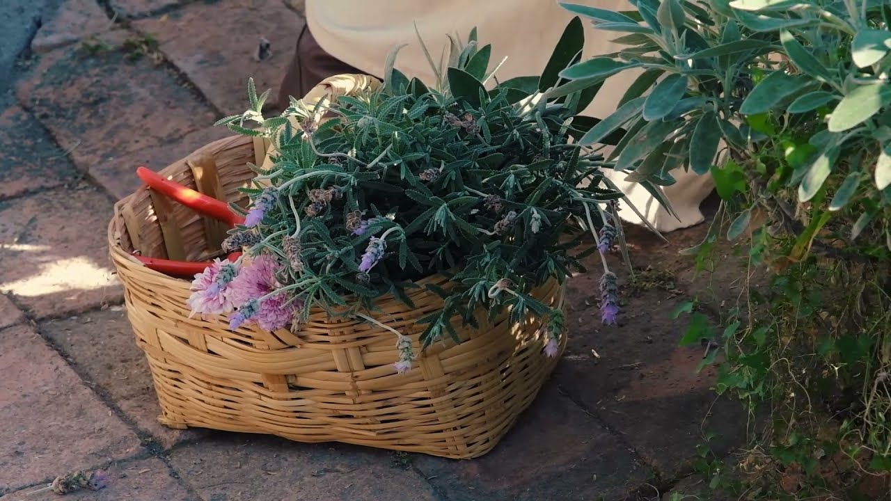 Sustainable Living in Mexico