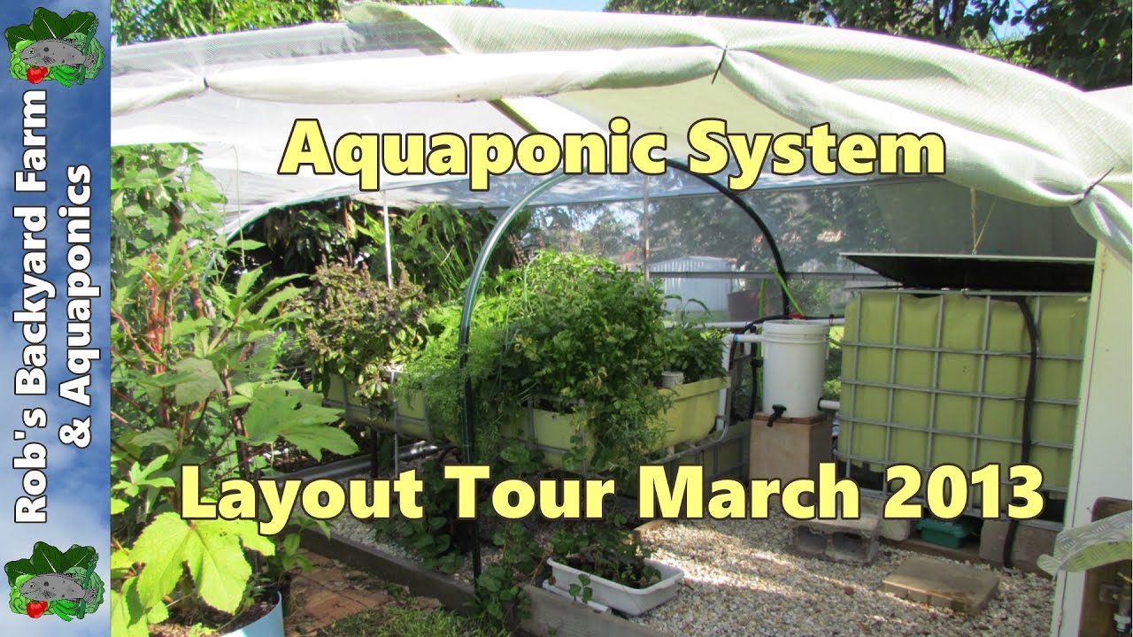 Aquaponic system layout tour...