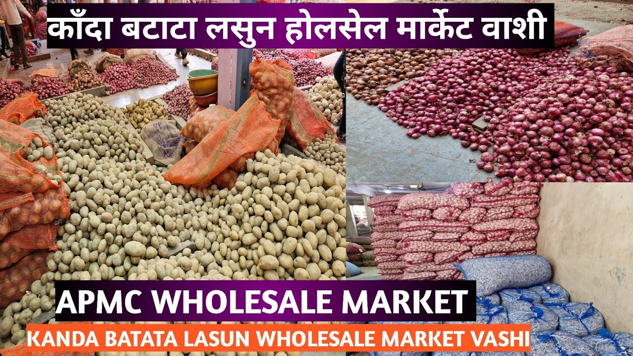 काँदा बटाटा लसुन होलसेल मार्केट वाशी l APMC KANDA BATATA WHOLESALE MARKET VASHI I Kanda🧅Aloo Market