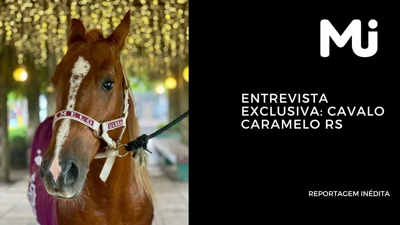Cavalo Caramelo, pós enchentes RS: Símbolo da esperança do RS