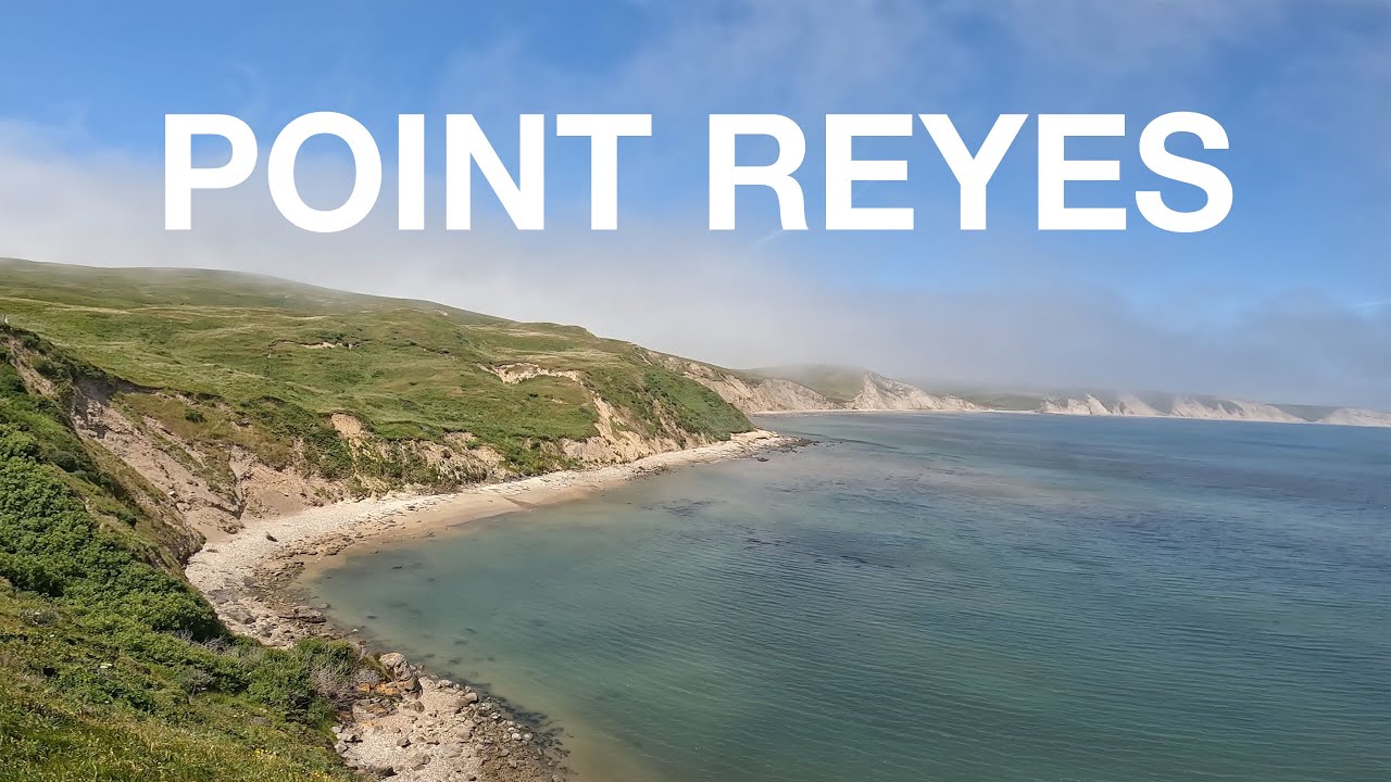 POINT REYES, CALIFORNIA | Hike Elephant Seal Look Out, Drakes Beach, Tule Elk 