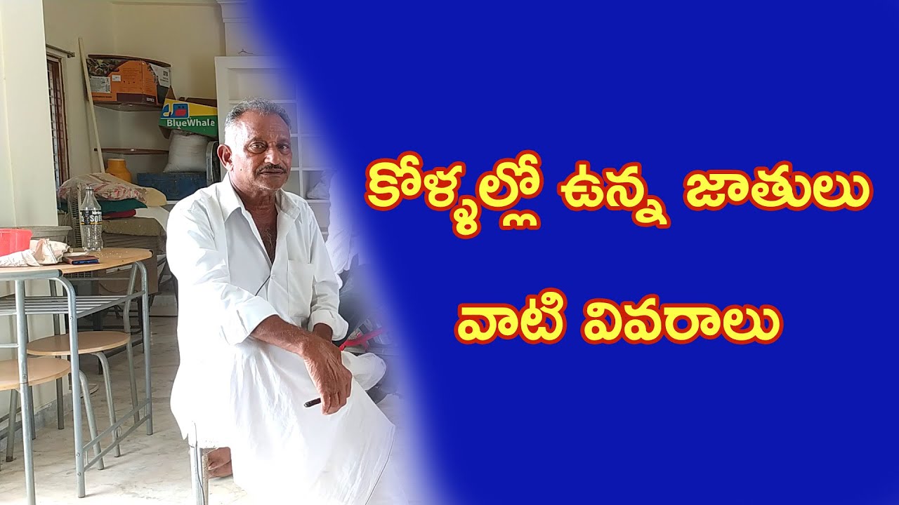 Kollu Vati Jathulu Interdiction | కోళ్ళల్లో ఉన్న జాతులు | Rammohana Rao | Natu Kollu