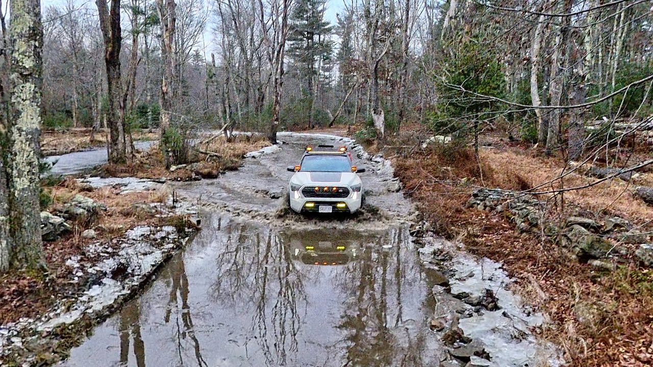 12/7/25 CT/RI trail run (again)