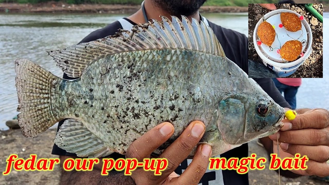 magic bait pe all tipe carp fishing, feedar aur pop-up pe catch fish