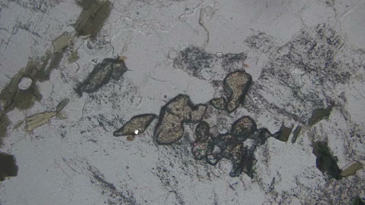 Aula 5  - apatita, titanita e zircão no microscópio petrográfico.