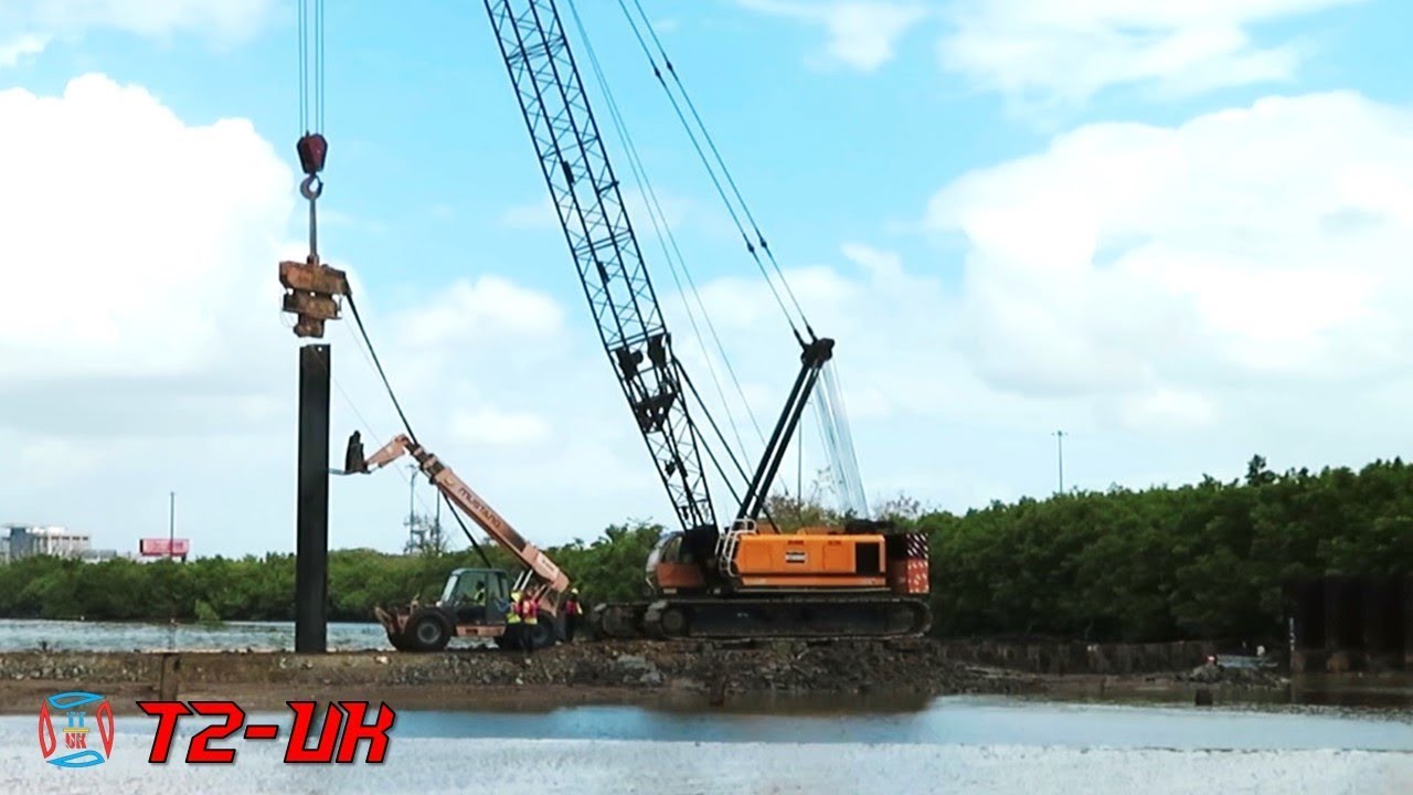 Crawler Crane and Excavator CAT is Used to Remove The Sheet Pile