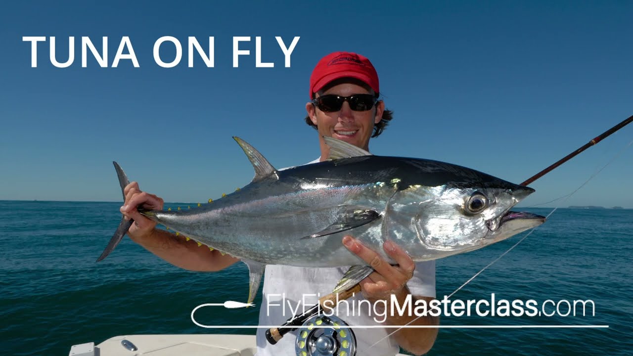 Tuna on Fly