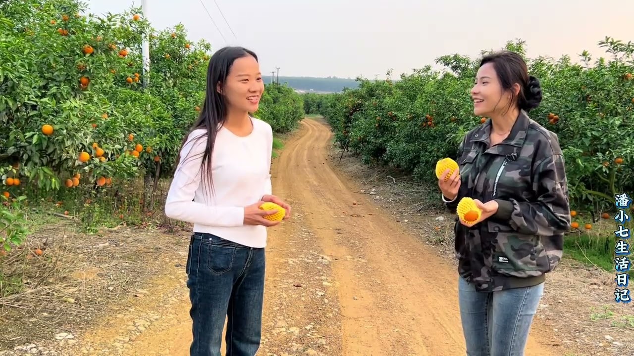 小七陷入自我怀疑时，听听丹姐的真实评价，配上甜甜的沃柑真治愈