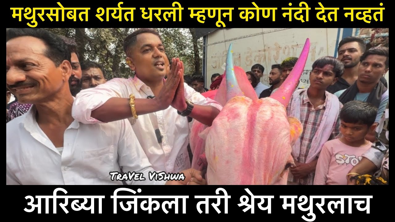 मथुरसोबत शर्यत धरली म्हणून कोण नंदी देत नव्हतं |आरिब्या मुलाखत 