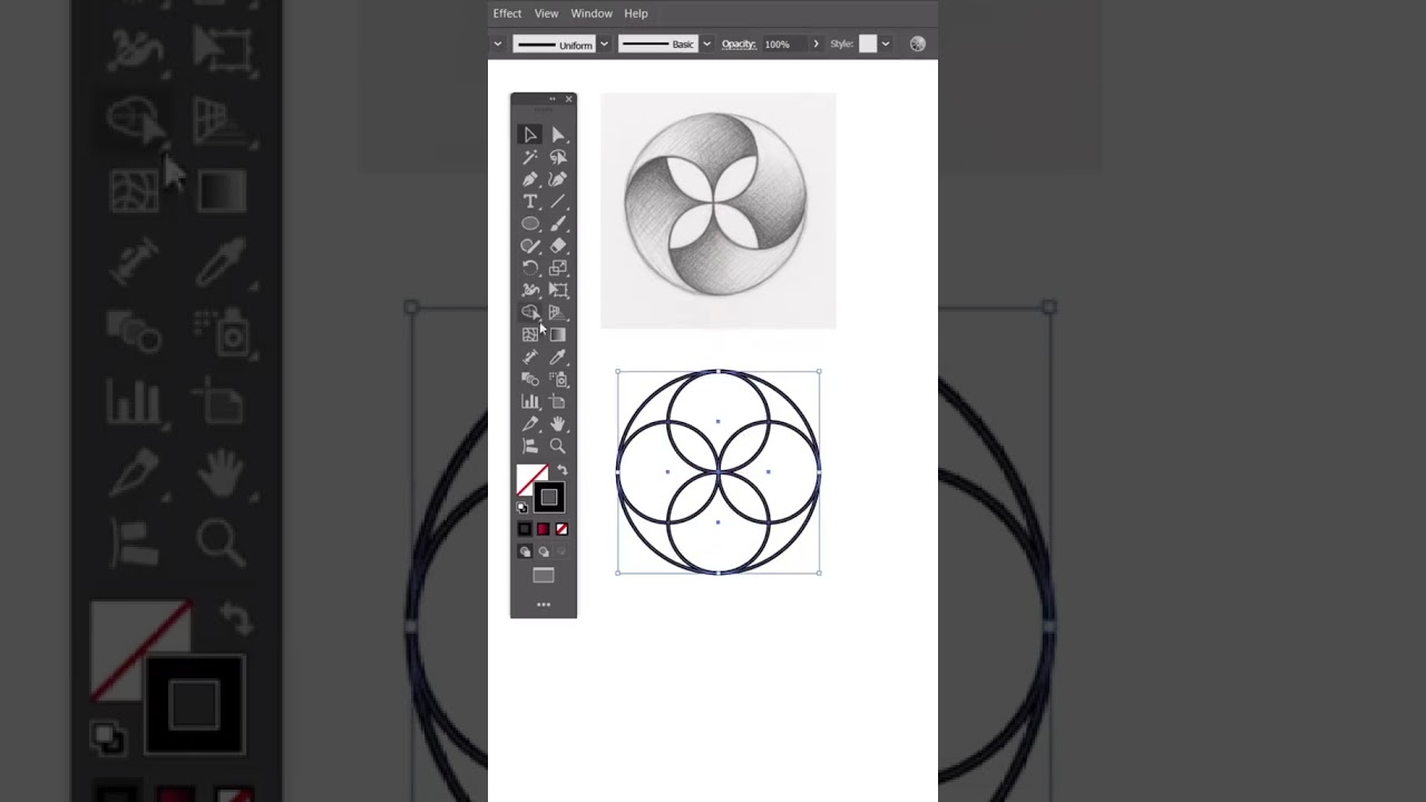 Flower design Illustrator cc 