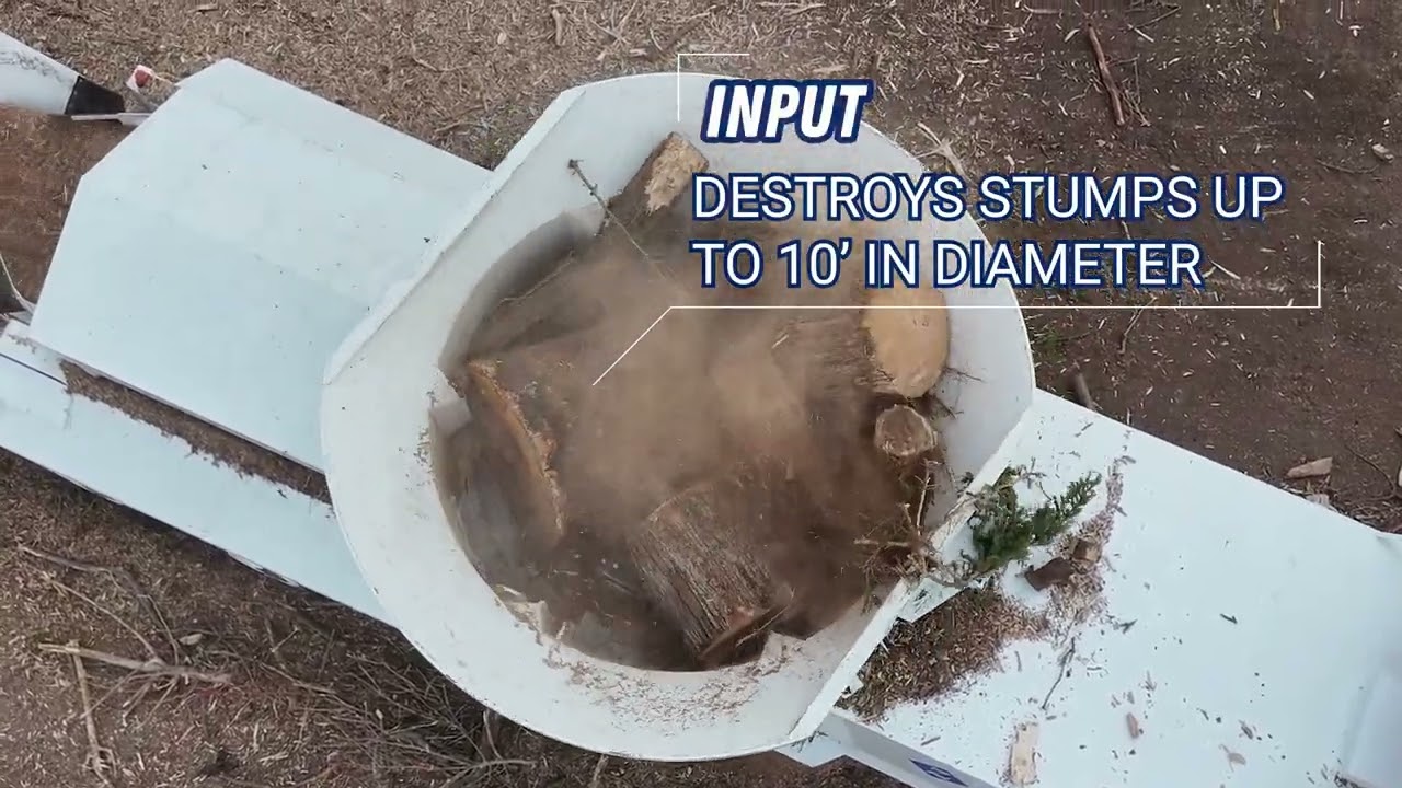🔥 Check out the Diamond Z 1463B Tub Grinder in action, destroying massive tree stumps with ease!