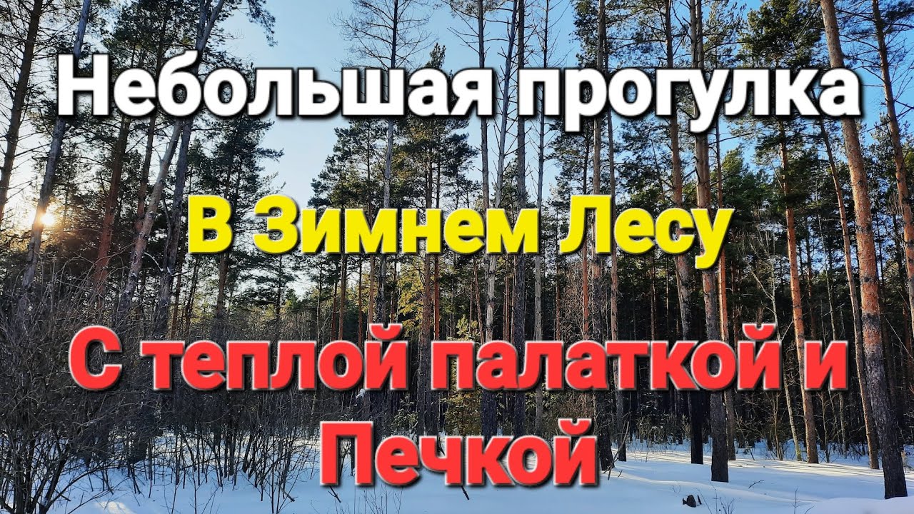 Небольшая прогулка в зимнем лесу. Тестирование теплой палатки с печкой. 21.02.26