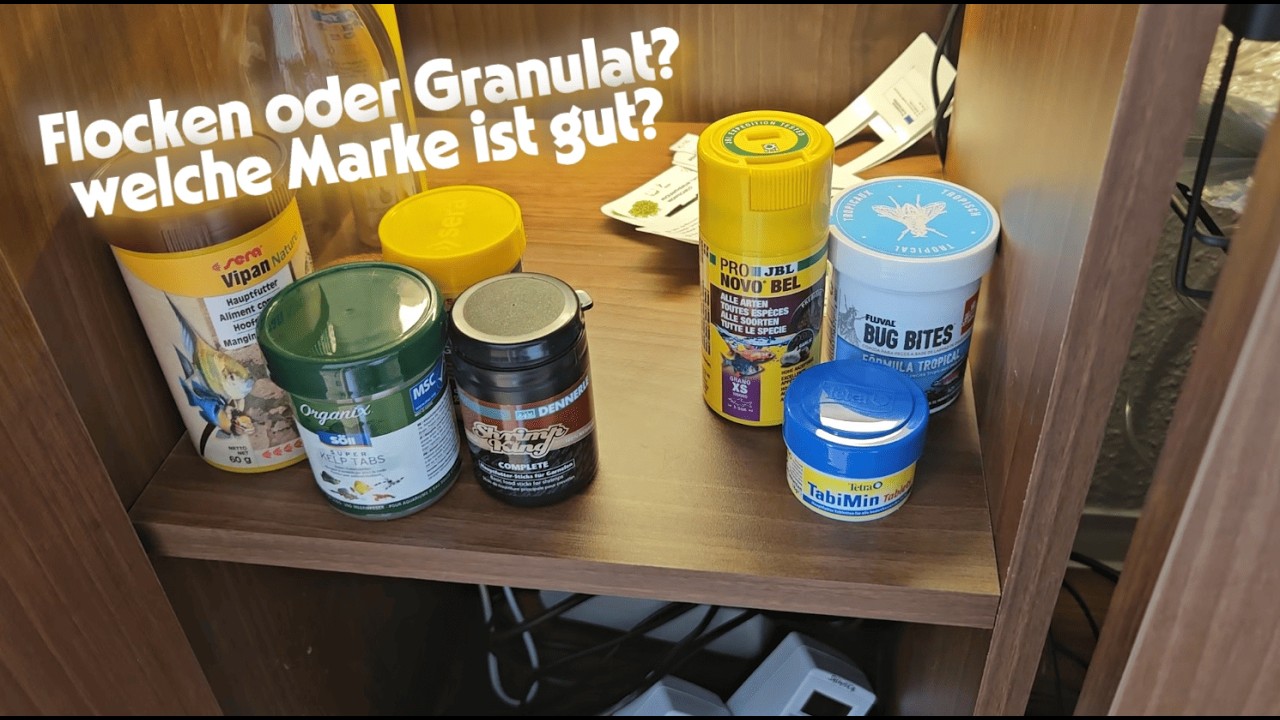 Flocken oder Granulat & Ist Bug Bites wirklich gut?! 😳 #fischfutter vergleich