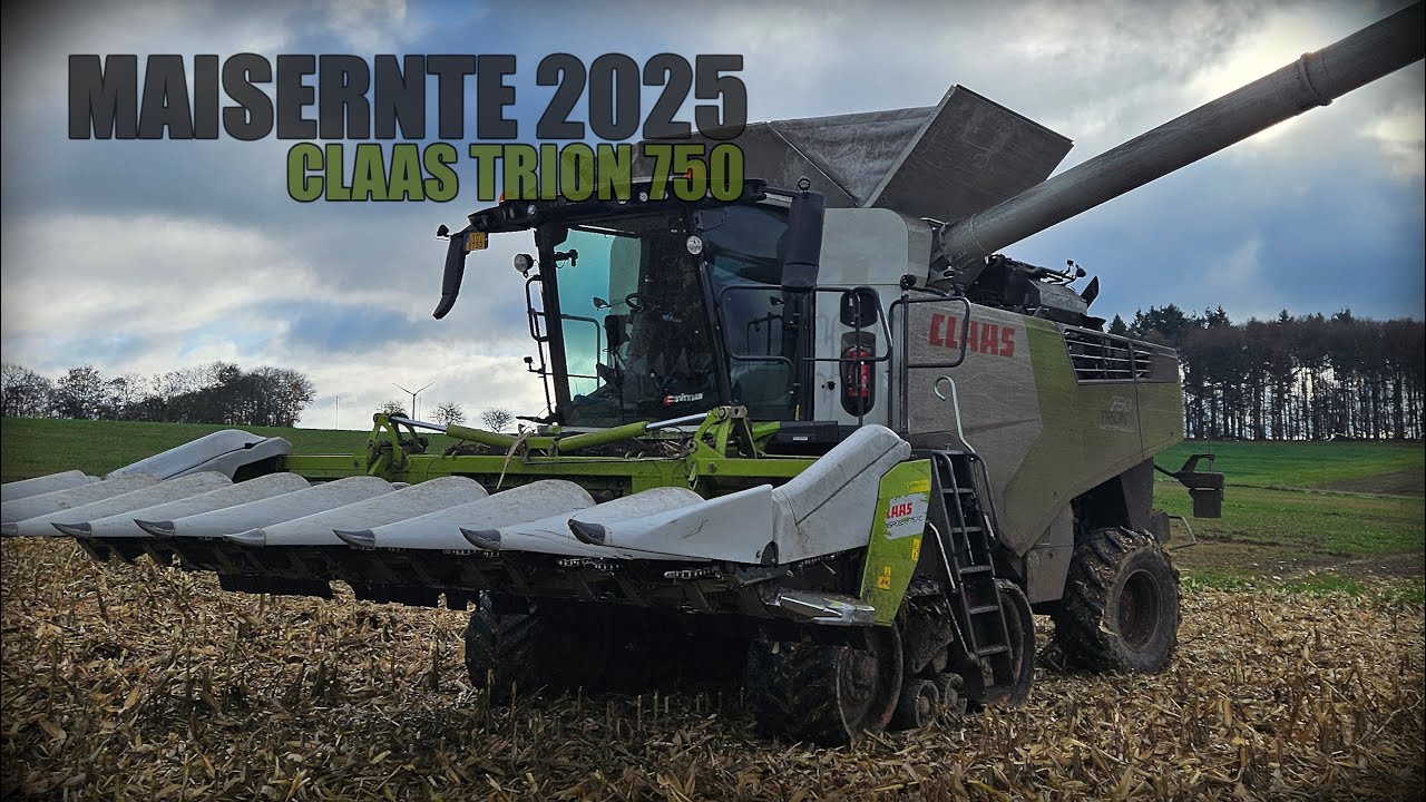 Mais Dreschen 2025 Trion750