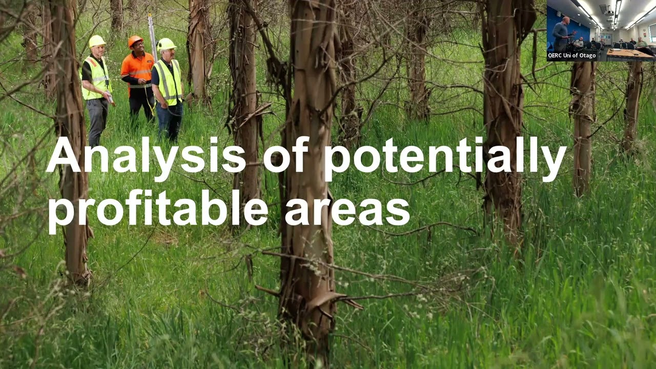 Short rotation forestry holds key to lowering fossil fuel dependency and reducing emissions