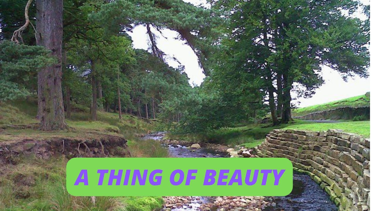 TROUGH OF BOWLAND