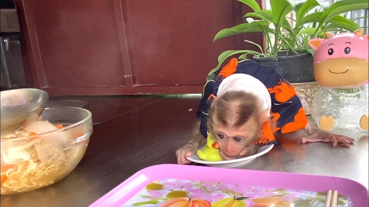 So funny!! LIORA is lying on the plate with a duck doll, While waiting for mom to make noodle soup
