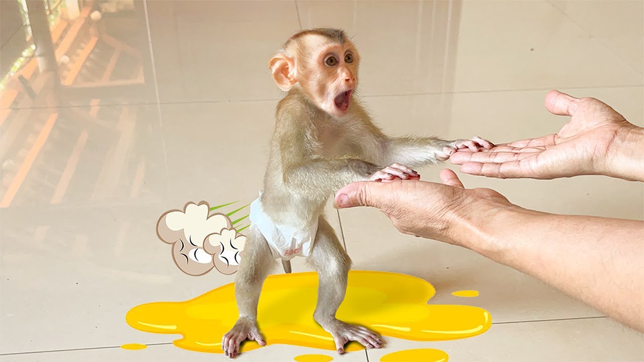 YuYu ran away find Mom when diaper filled pants!