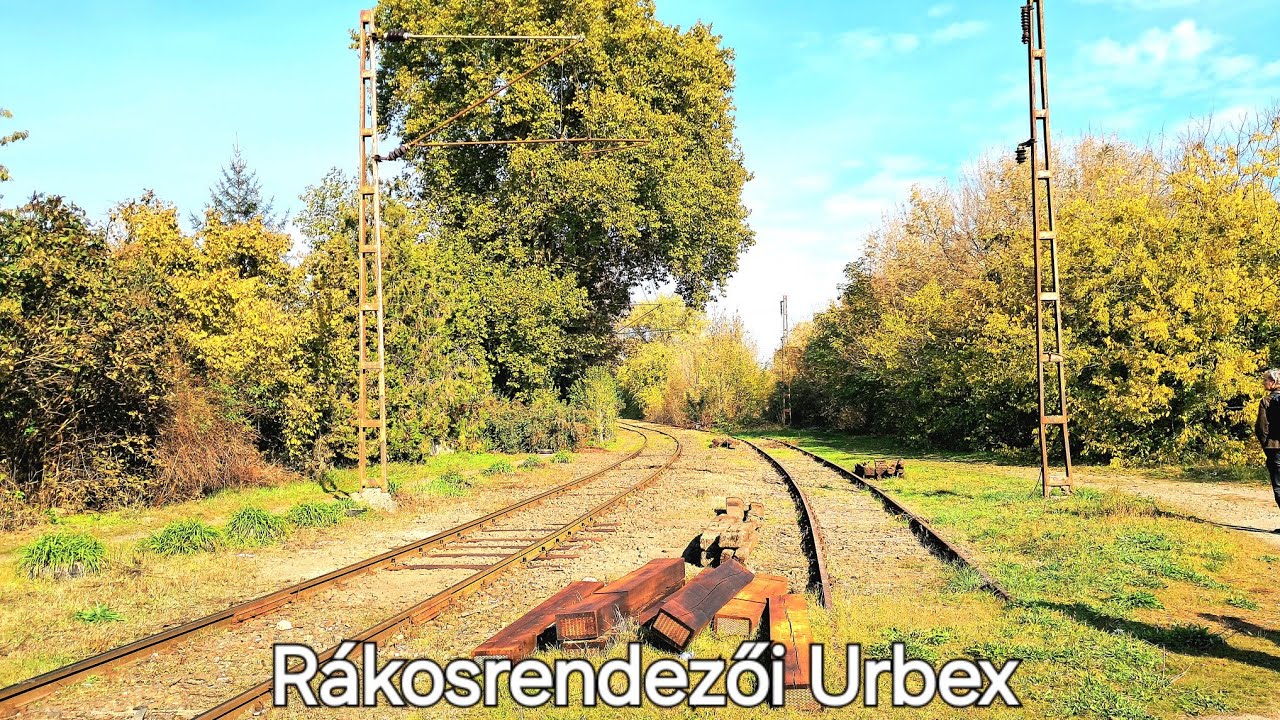 BEJÁRTUK RÁKOSRENDEZŐ EGYKORI, ELHAGYATOTT ÉPÜLETEIT ADANIVAL ÉS RIKÁRIVAL! |OFMRS S6E69|
