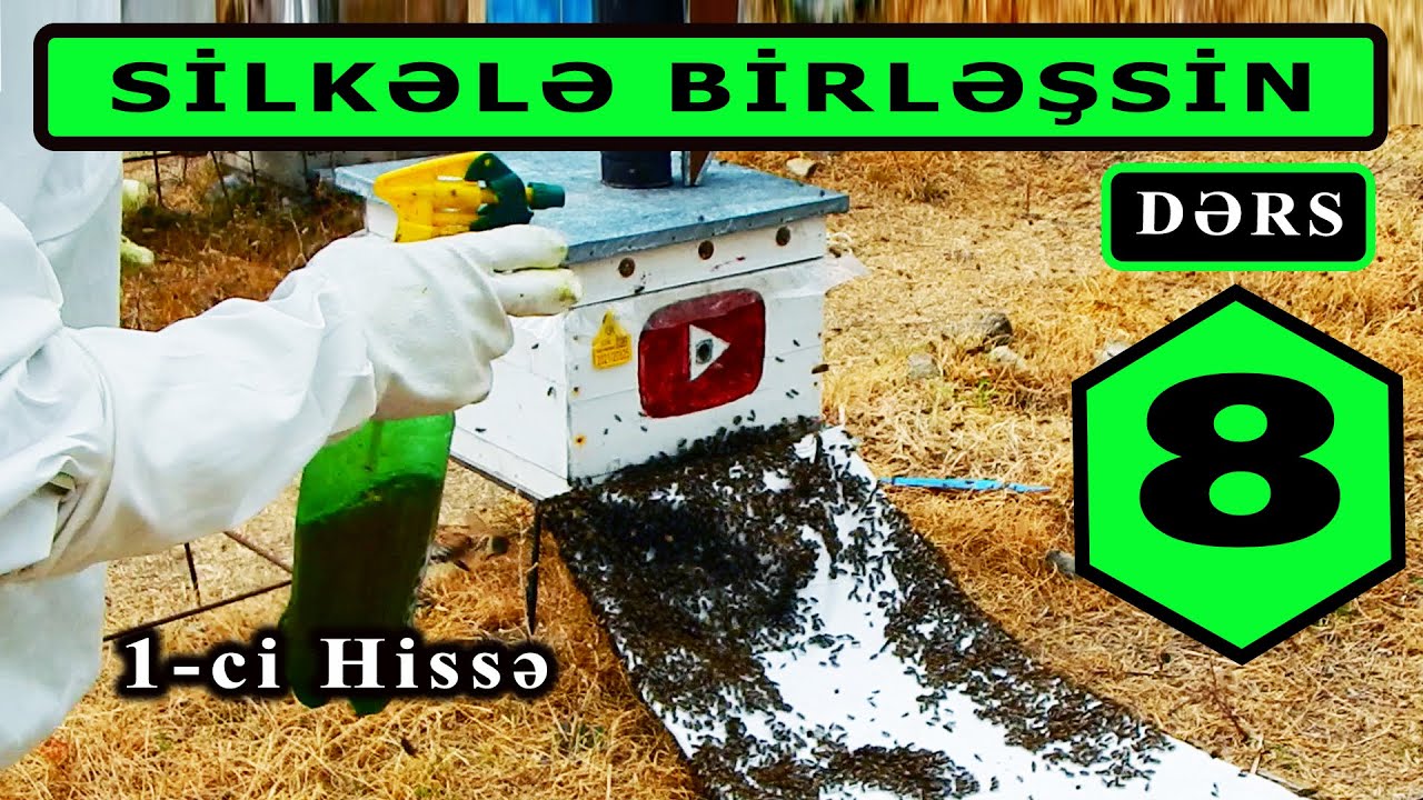 Silkələ Birləşsin.  ARI BİRLƏŞDİRMƏ -  2.  Birinci Hissə. DƏRS - 8