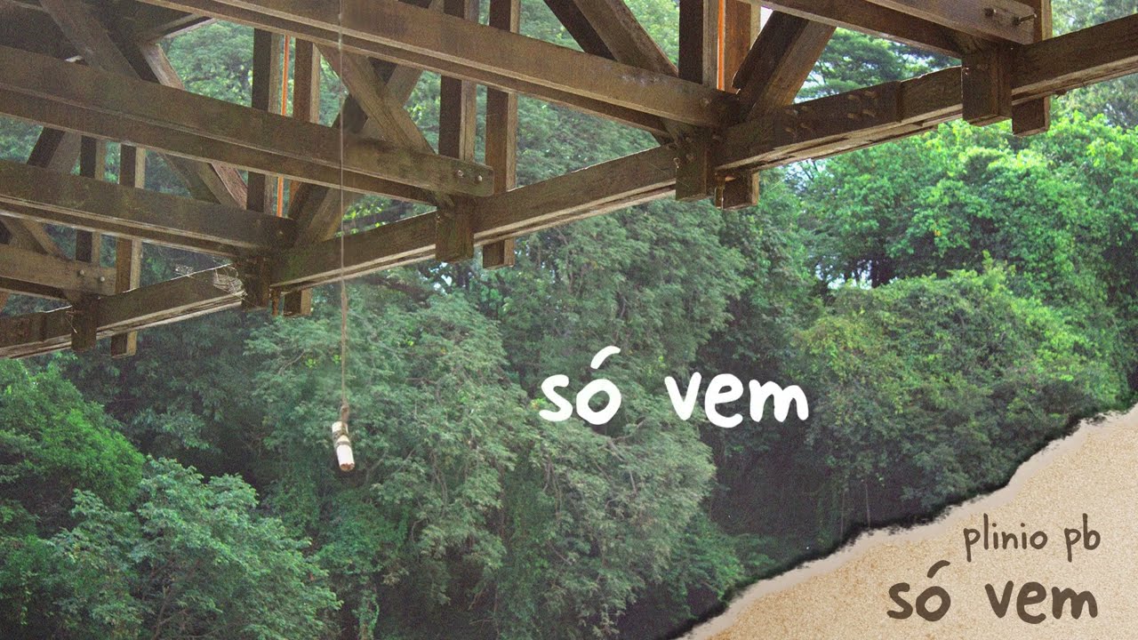 Plinio PB - Só Vem (Lyric Video - Áudio Oficial)