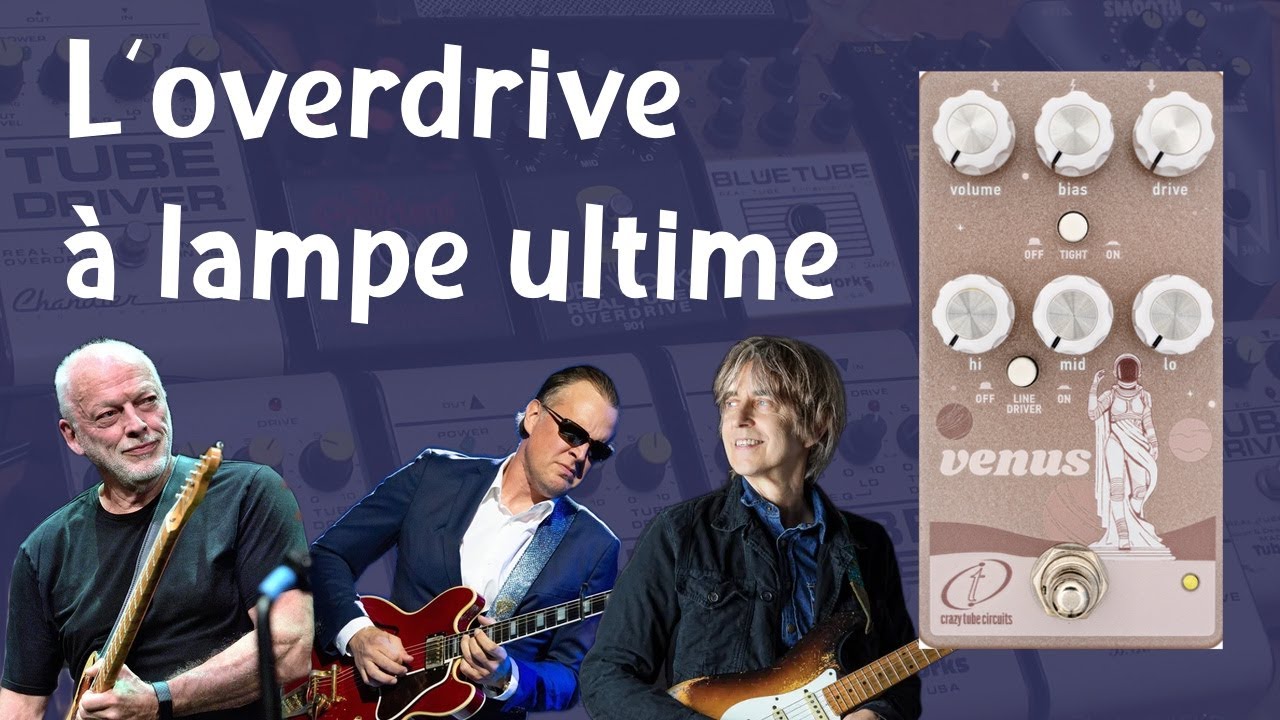 L'overdrive de GILMOUR et Bonamassa : la TUBE DRIVER et la Crazy Tube Circuits Venus