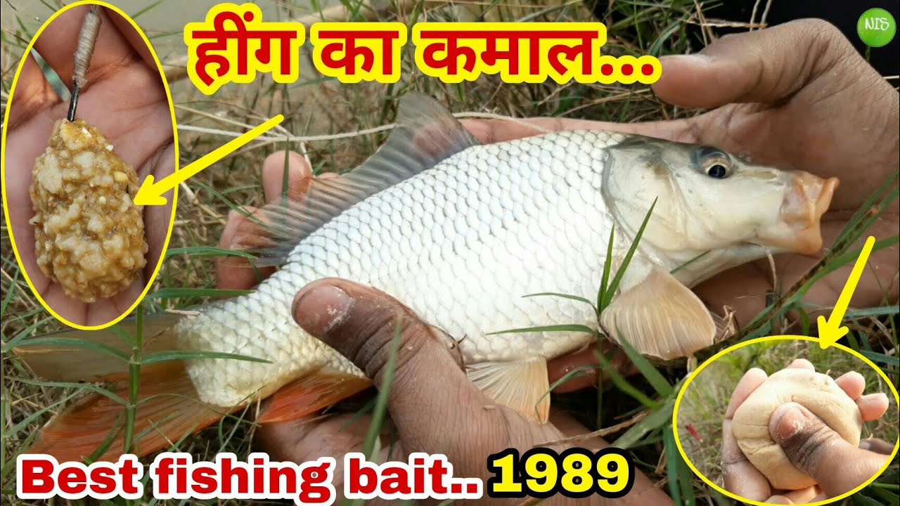 ठंडी के मौसम में रोहू,ग्रास और कामन कार्प मछली का चारा | Rohu machhli ka chara aur shikar in winter