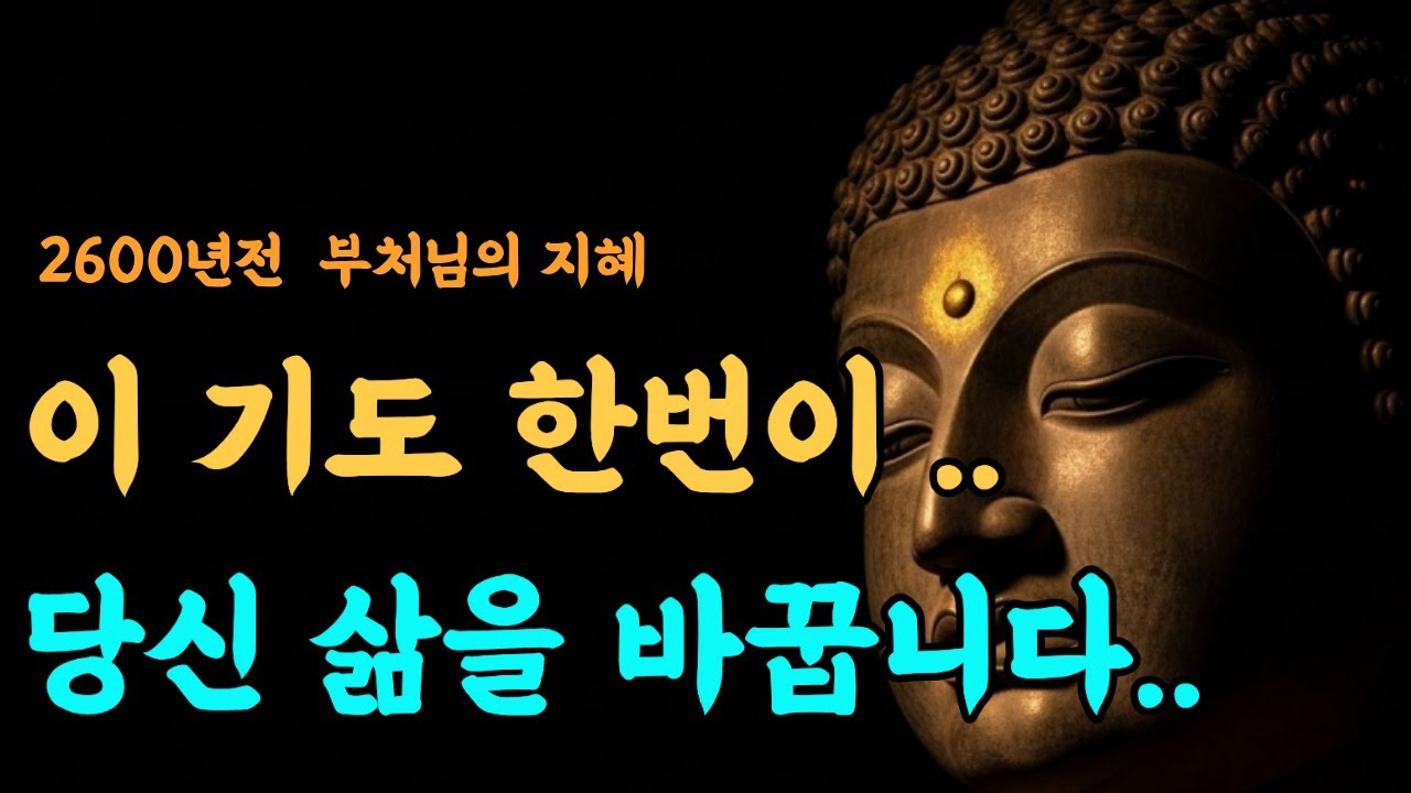 이렇게  딱 삼일만 해보세요 | 삶이 바뀝니다 | 기적 | 자면서 들으세요 #명상 #오디오북 #지혜 #인생조언 #철학