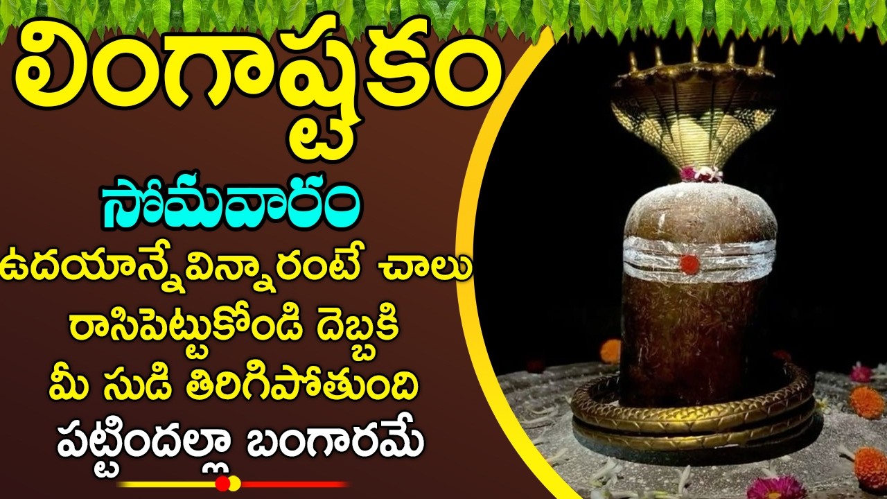 లింగాష్టకం ఉదయాన్నే వింటే మీ ఏలినాటి శని పోయిపట్టిందల్లా బంగారమే అన్ని శుభలే జరుగుతాయి| Lingashtakam