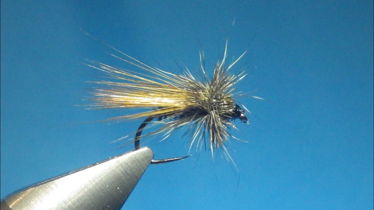 Sedge Montage Elastique