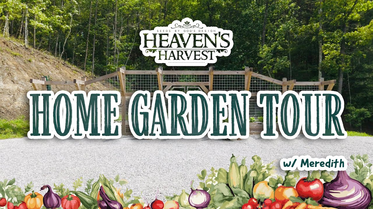How We Grew This Garden From Last Year&rsquo;s Heirloom Seeds | Heavens Harvest Home Garden 🌱🌼