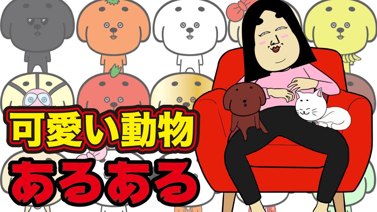 犬・猫・うさぎ・ハムスター・動物園にありがちなこと【漫画動画】
