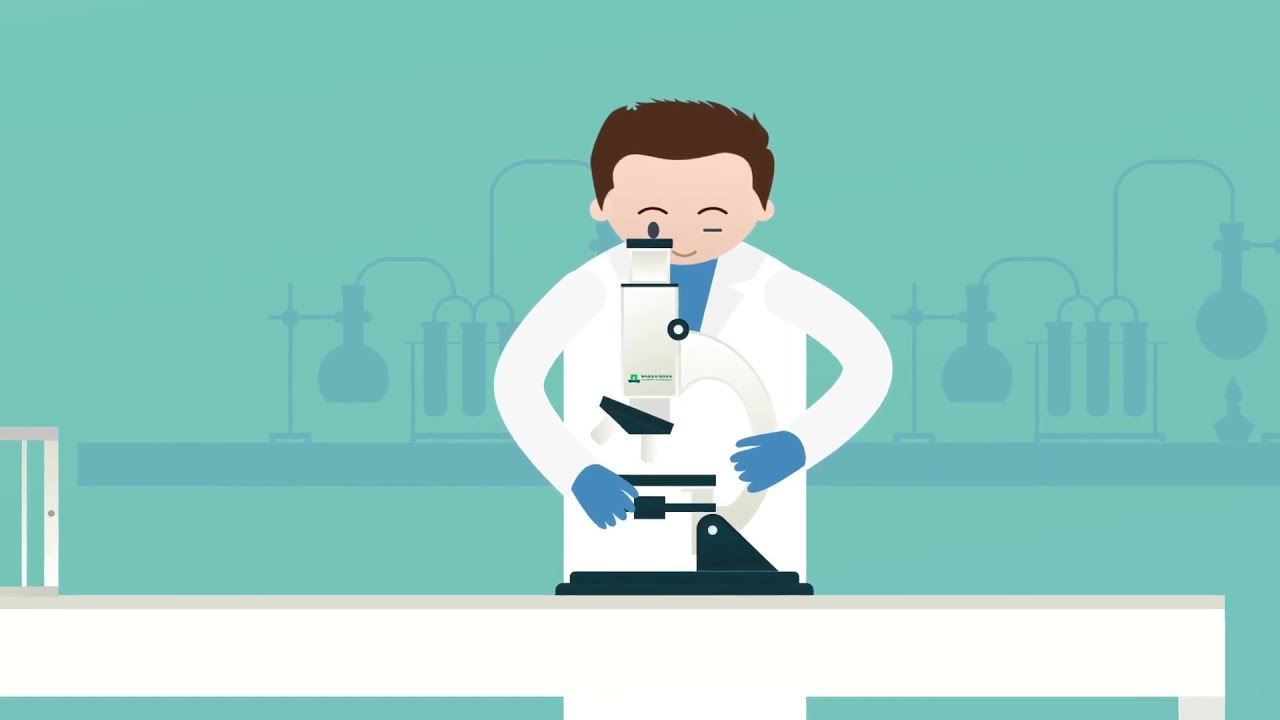 Alternatives for animal testing | WUR