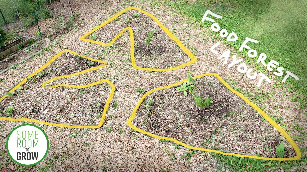 Starting a FOOD FOREST | Ep. 4 - Five Tips for an Efficient Garden Layout