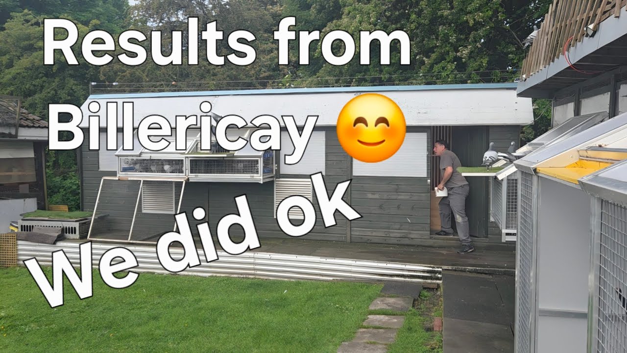 Racing Pigeons Results from Billericay