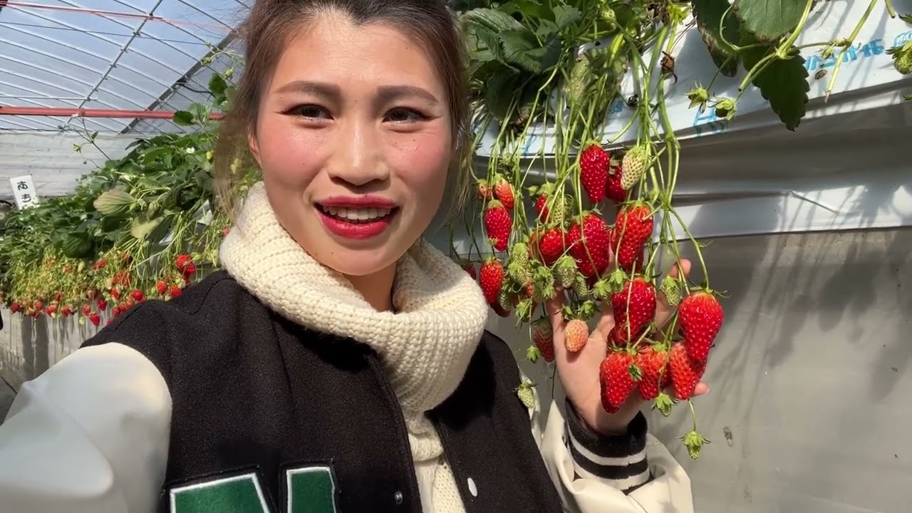 ngày 9 tháng 3, 2023 千葉　渡辺いちご園