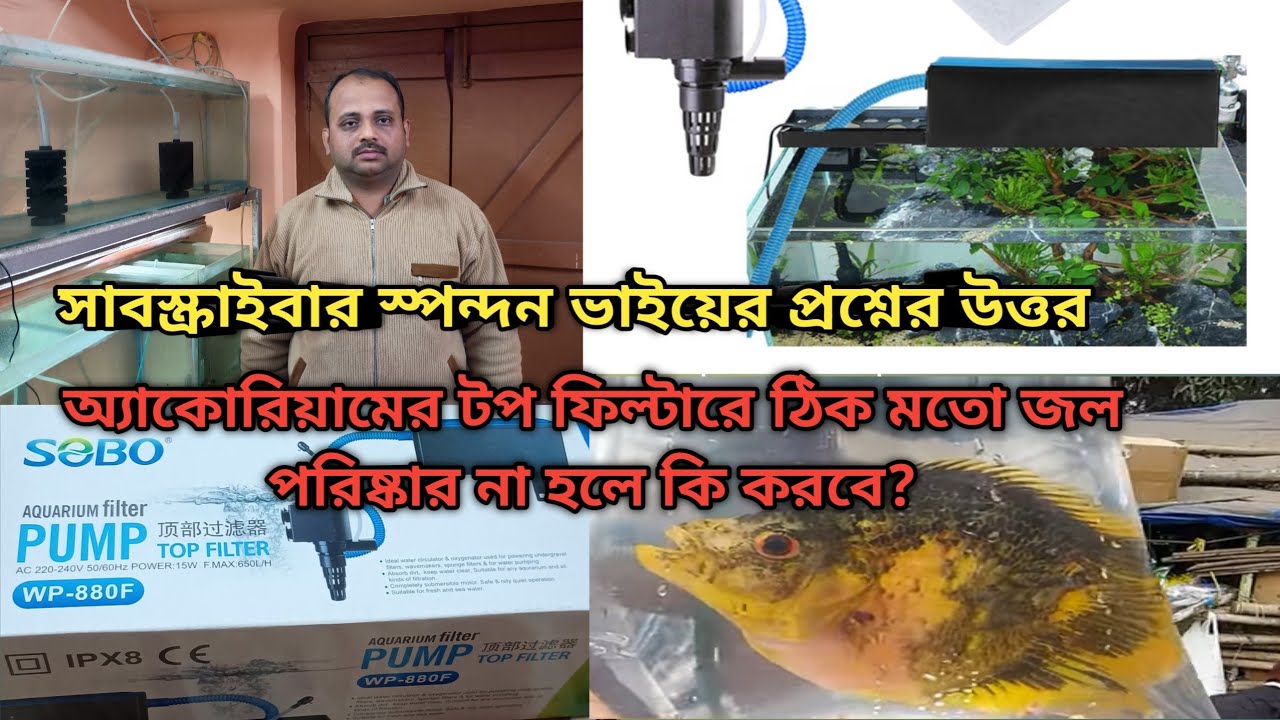 Subscriber question answer. একুরিয়ামের টপ ফিল্টারে ঠিকমতো জল পরিস্কার না হলে কি করবেন?#aquarium 