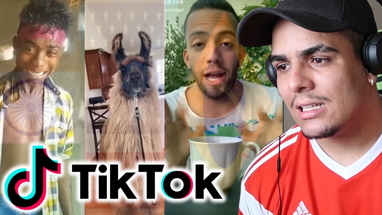 PQ TANTA VERGONHA ALHEIA - TIK TOK