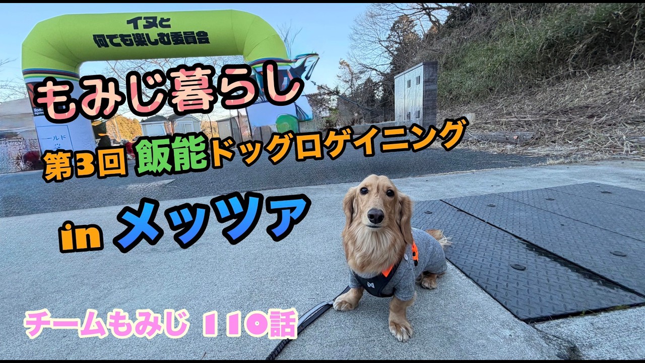 もみじ暮らし 第３回飯能ドッグロゲイニング  in メッツァ  チームもみじ110話