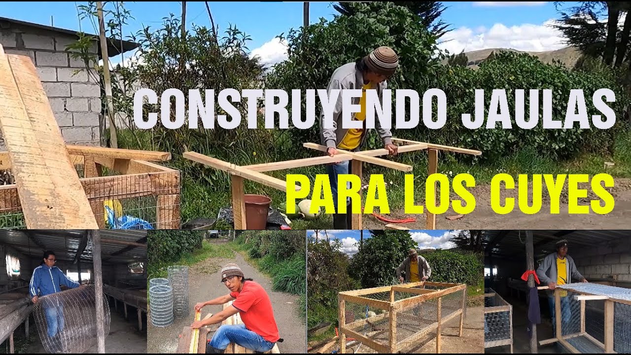 JAULAS PARA CUYES