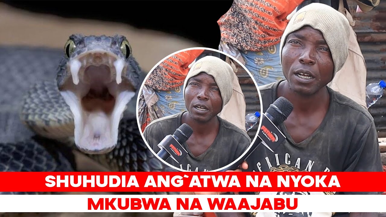 Usiangalie Kama Unaogopa NYOKA WAA AJABU AMNG`ATA USIKU MKE AMKIMBIA NA KUTOJULIKANA