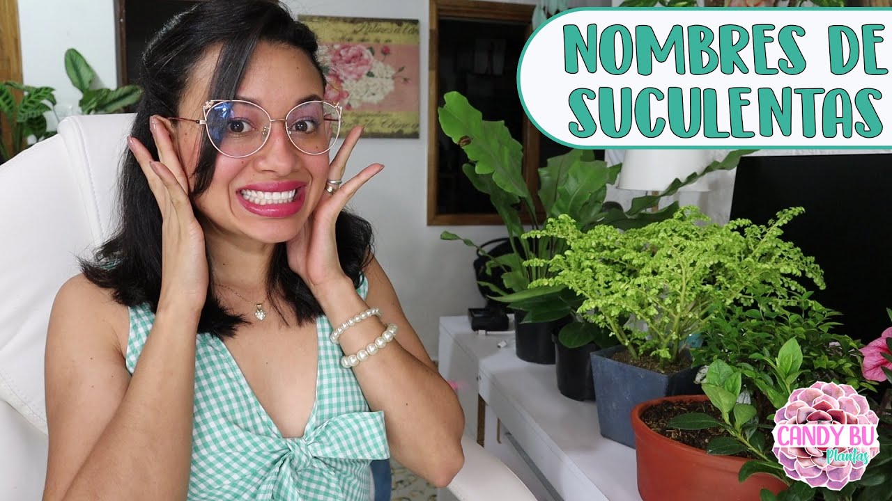 40 SUCULENTAS NUEVAS CON SUS NOMBRES│Candy Bu