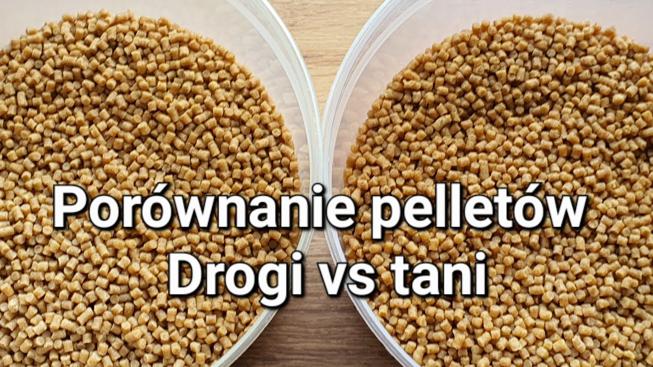 Coppens vs Hitbaits (czy warto przepłacać?) - test i porównanie pelletów