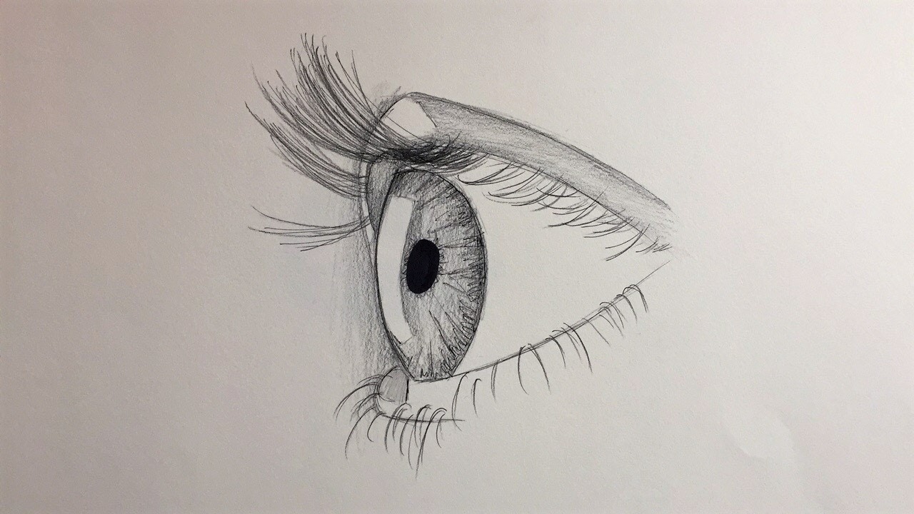 How to draw an eye for beginners (side view)