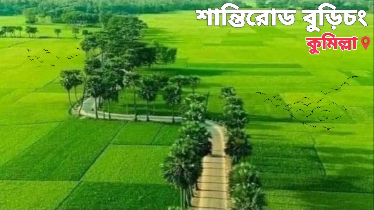 শান্তিরোড বুড়িচং, কুমিল্লা। শান্তি রোড। পশ্চিমসিংহ, বুড়িচং, কুমিল্লা। Shanto road, Cumilla,