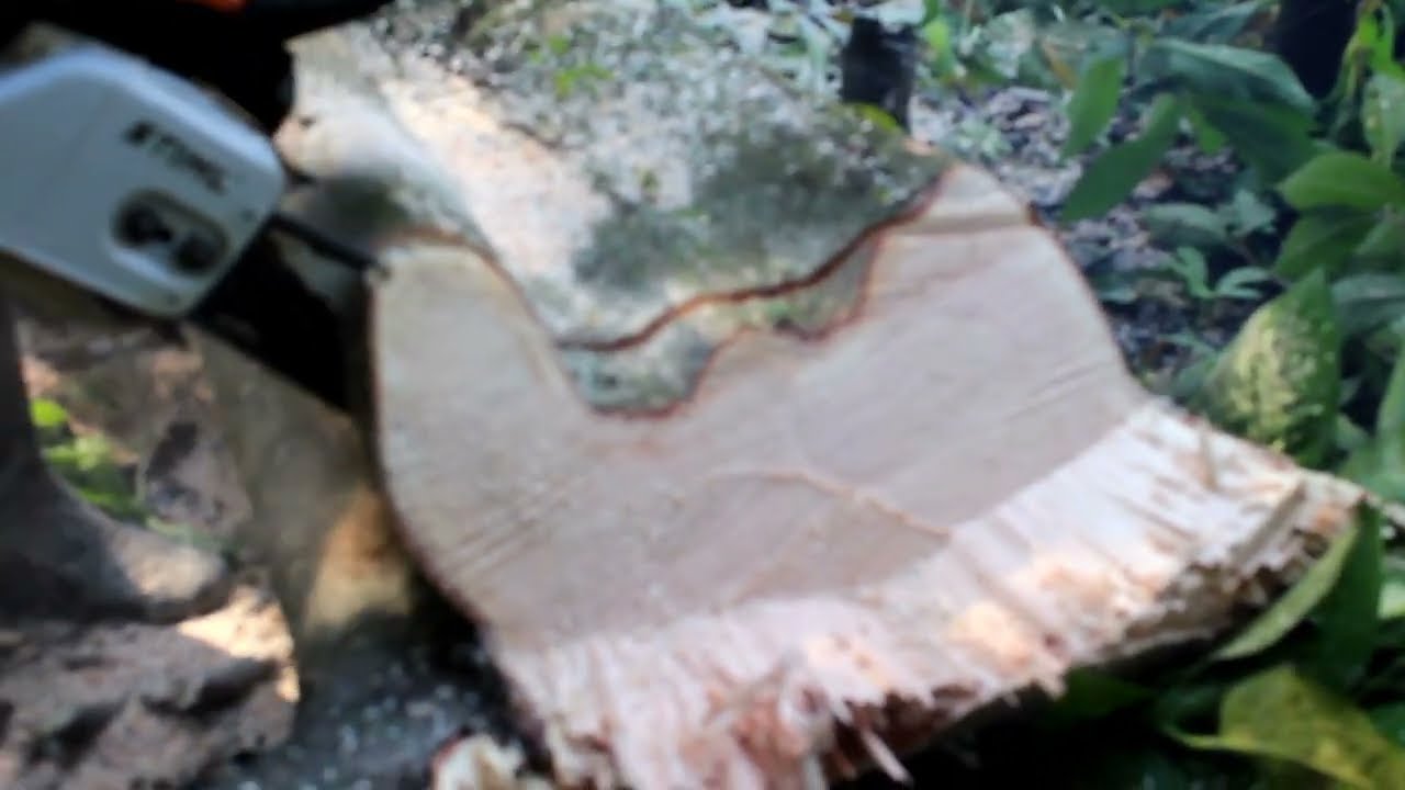 grade 2 wood