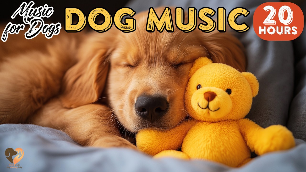 20 HOURS of Deep Sleep Dog Calming Music🐶🎵Anti Separation Anxiety Relief Music🎵Dog Music